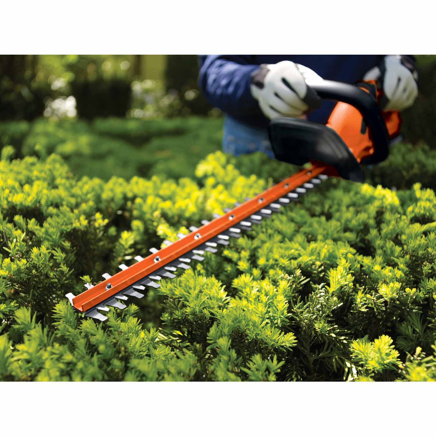 Black & Decker LHT2220 20V MAX Lithium 22 in. Hedge Trimmer