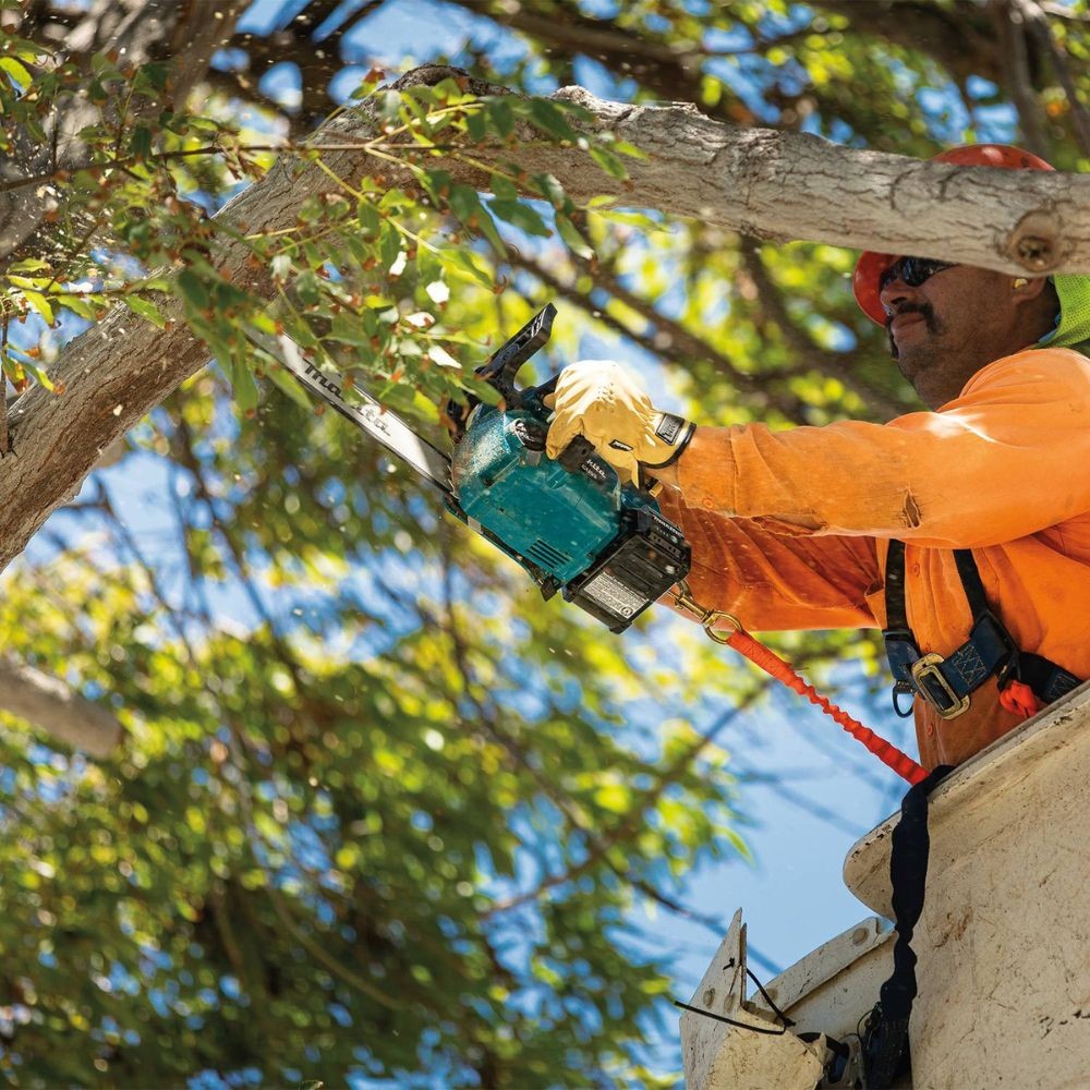 Makita GCU02M1 40V max XGT Brushless Cordless 14" Top Handle Chain Saw Kit (4.0Ah)