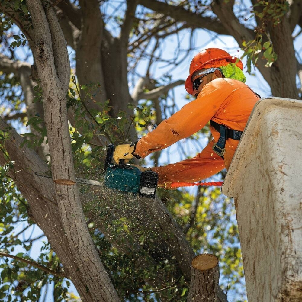 Makita GCU02Z 40V max XGT Brushless Cordless 14" Top Handle Chain Saw, Tool Only